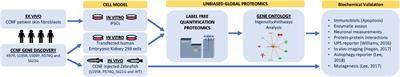 Unbiased Label-Free Quantitative Proteomics of Cells Expressing Amyotrophic Lateral Sclerosis (ALS) Mutations in CCNF Reveals Activation of the Apoptosis Pathway: A Workflow to Screen Pathogenic Gene Mutations